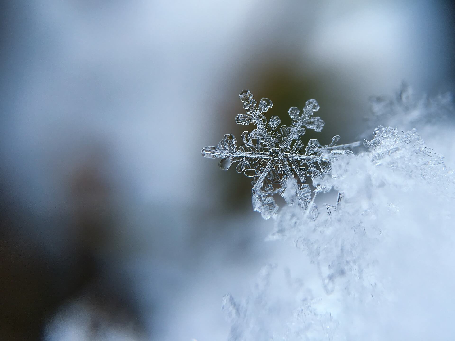 snowflake winter frozen weather